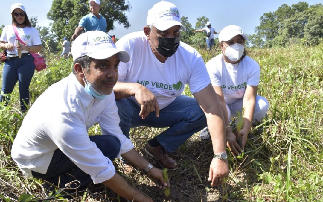 Interior y Policía reforesta en Bonao y La Vega; comité dará seguimiento a las siembras